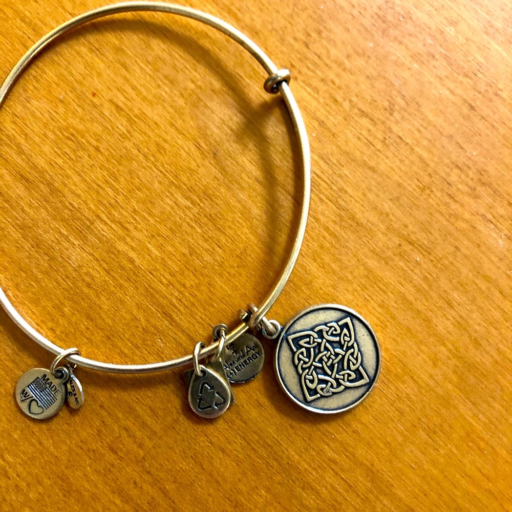 Alex & Ani Gold Bracelet With Charm